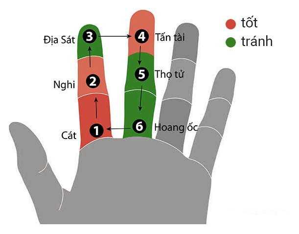 Cách tính tuổi Hoang ốc